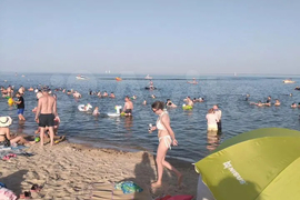 Участок 7,3 сот. (ИЖС)