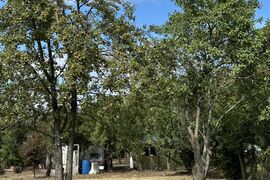 Дом в Ростовская область, Волгодонск Волгодонский Садовод СНТ,  (30 м²)